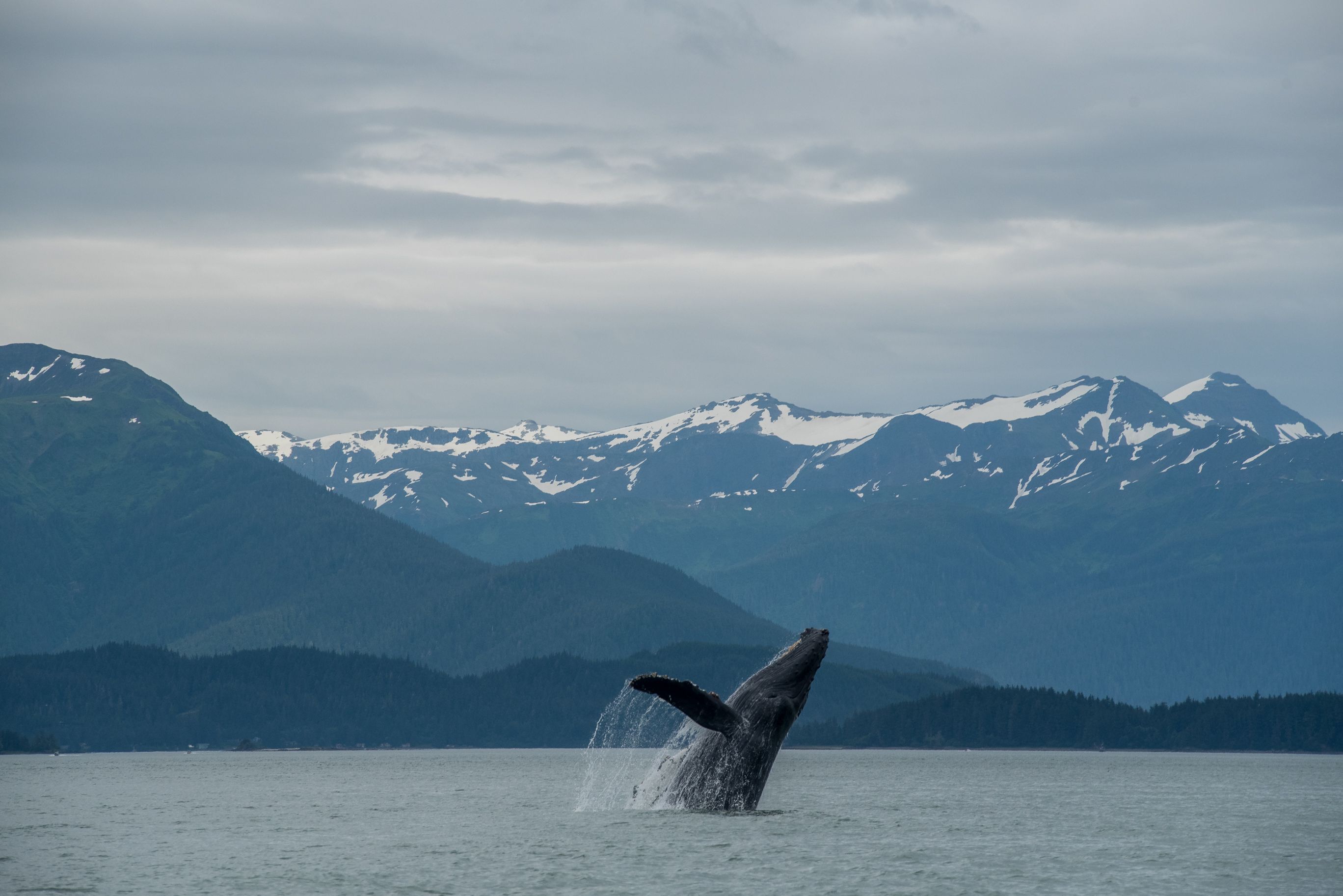 Alaska