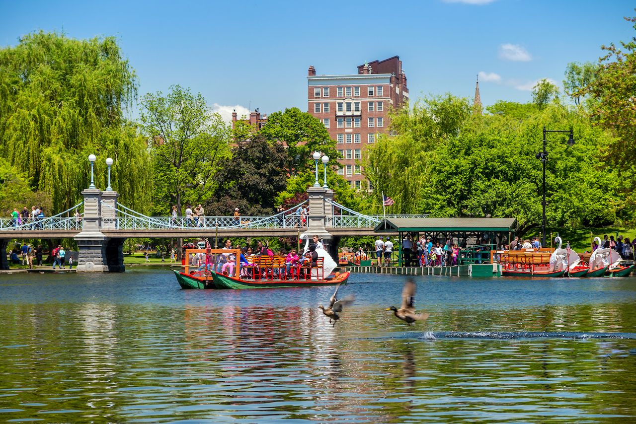 Boston Public Garden